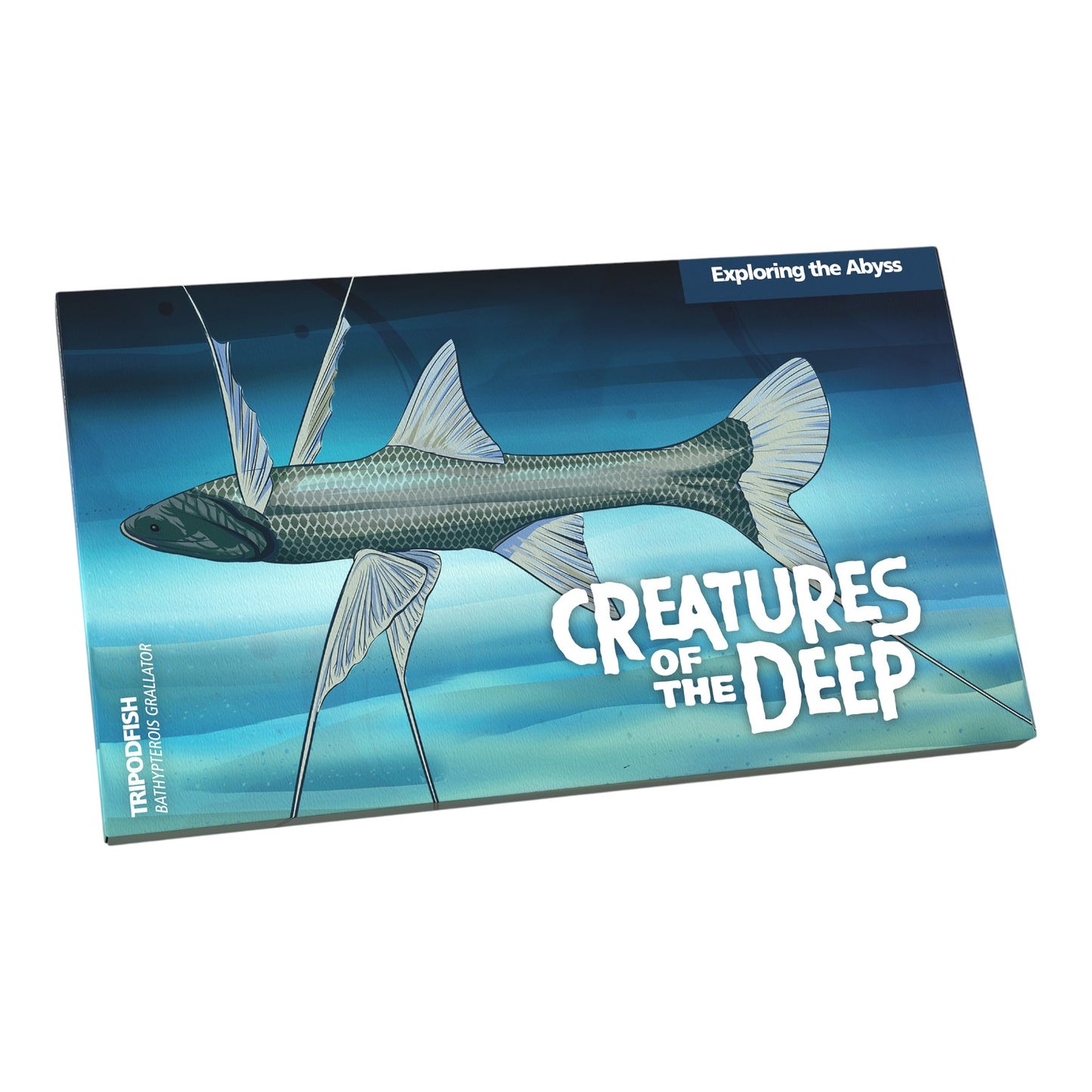 2023 Creatures of the Deep - $1 AlBr Mintmark and Privy Mark Uncirculated Four Coin Set