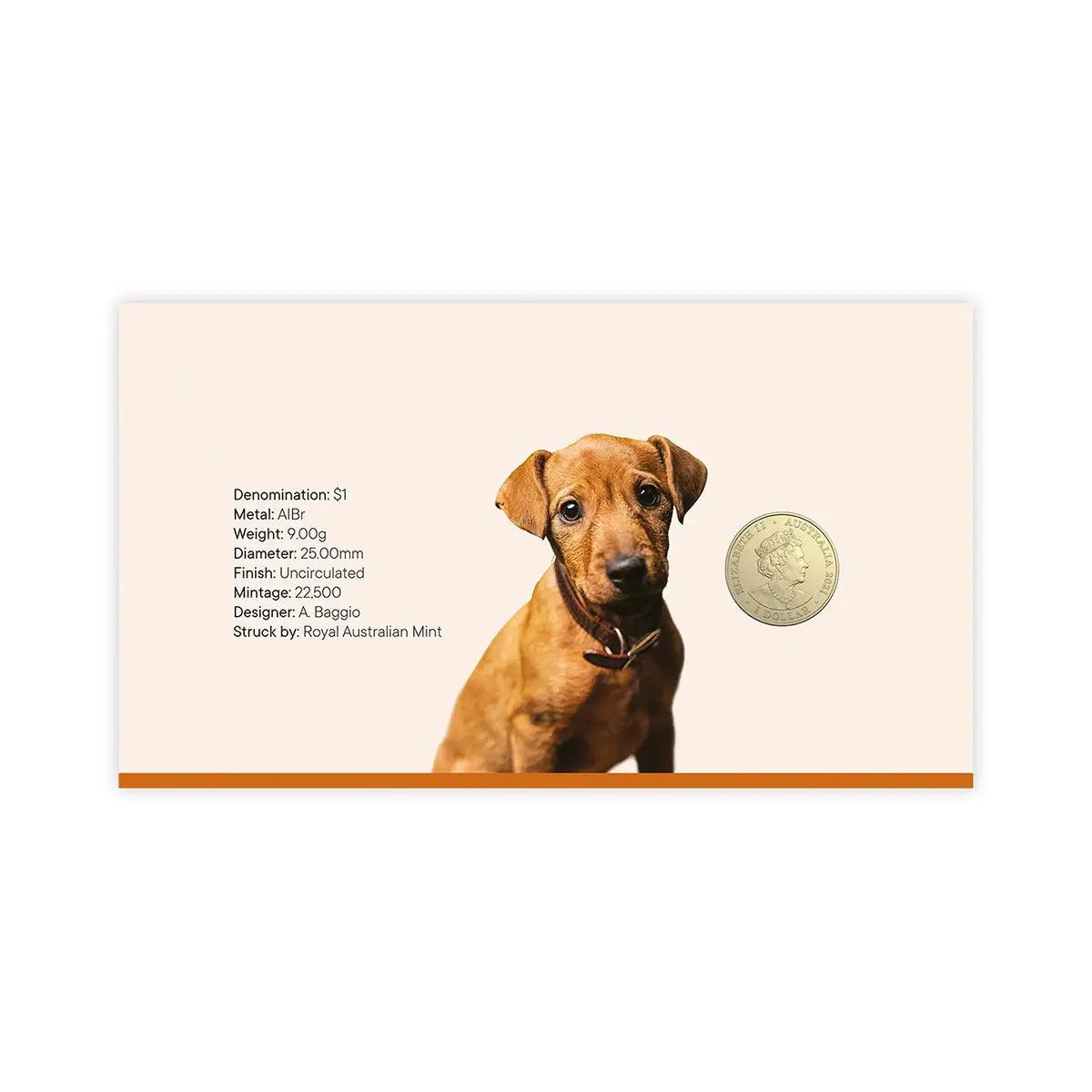 150th Anniversary of the RSPCA 2021 $1 Dog Coloured Coin & Stamp Cover - Loose Change Coins
