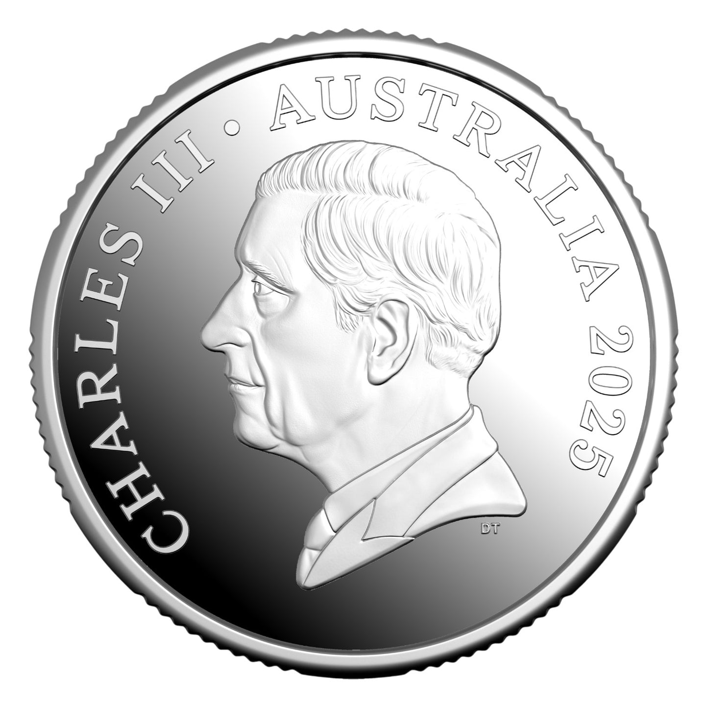 2025 Christmas Coin Collection: Bluey & Festive Florals