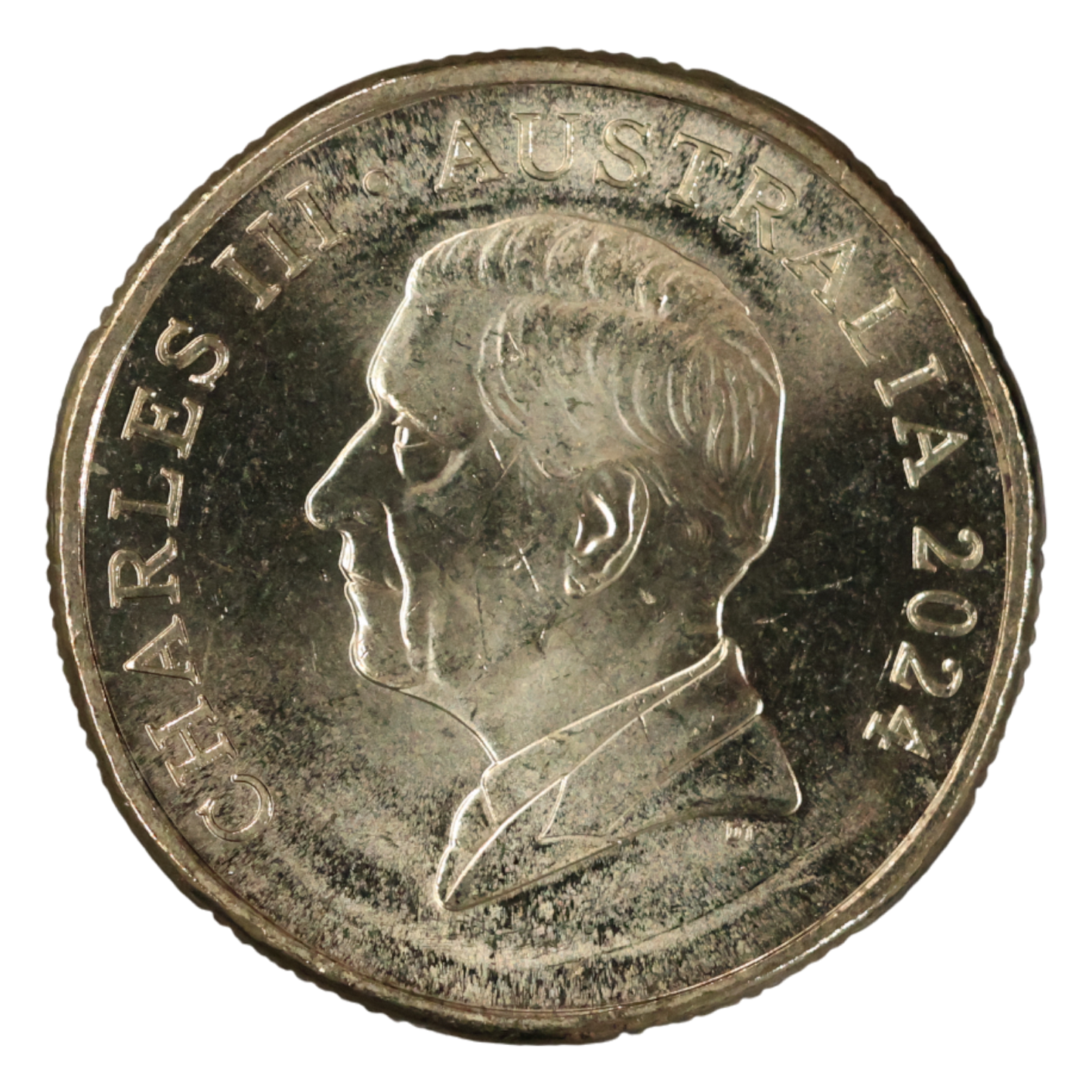 2024 $1 Coin - Bluey Dollarbucks - Bingo