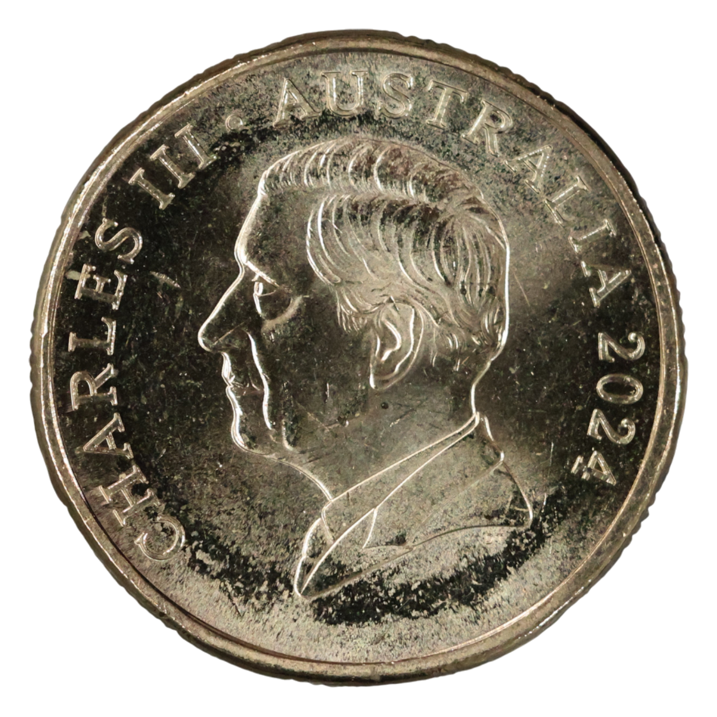 2024 $1 Coin - Bluey Dollarbucks - Bluey