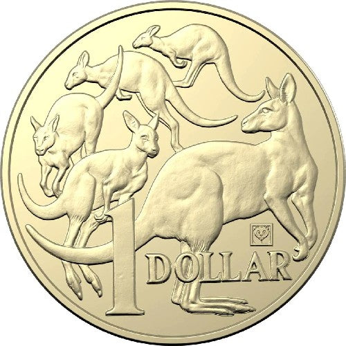 2019 $1 Coin - 'BICE' Mob of Roo's with Panda Privy Mark - Beijing International Coin Exposition