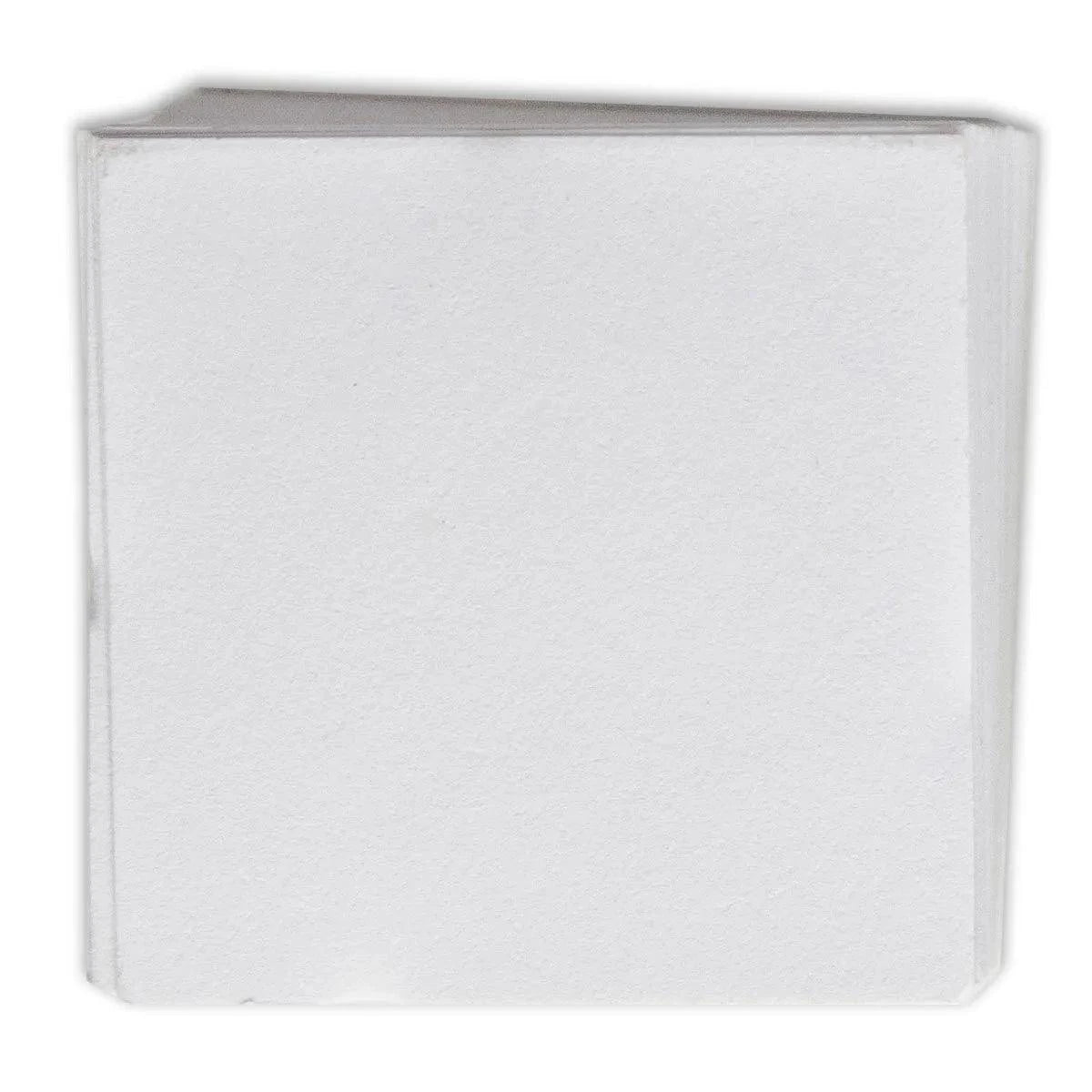 Double Pocket 2 inch x 2 inch Coin Flip Inserts - Pack of 50 - Loose Change Coins