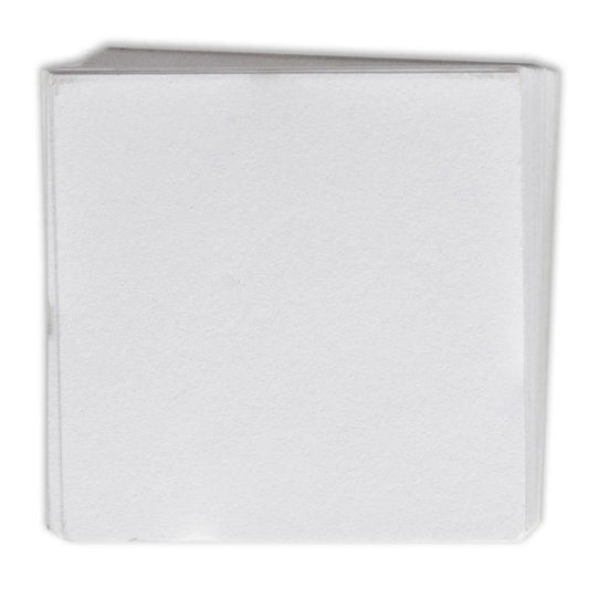 Double Pocket 2 inch x 2 inch Coin Flip Inserts - Pack of 50 - Loose Change Coins