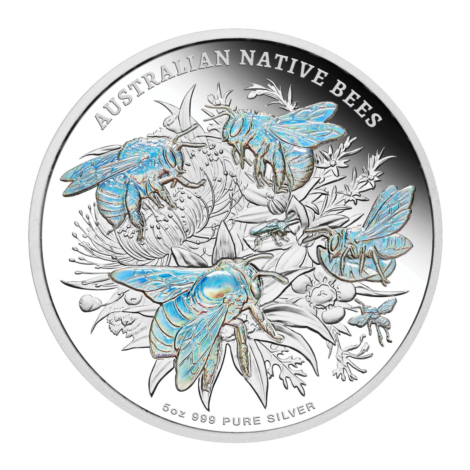 Latest Releases and Pre-Orders! - Loose Change Coins
