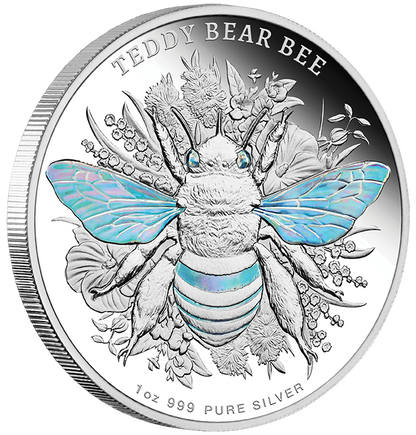 2026 Australian Native Bees - Teddy Bear Bee 1oz Silver Proof Hologram Coin