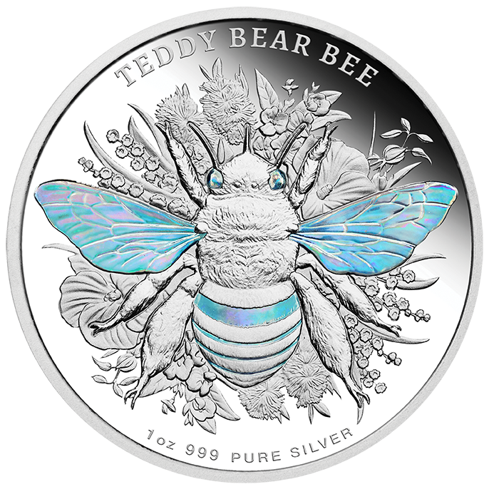 2026 Australian Native Bees - Teddy Bear Bee 1oz Silver Proof Hologram Coin