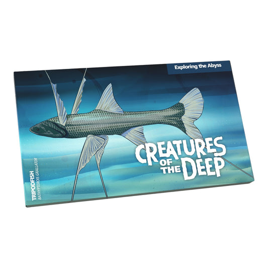 2023 Creatures of the Deep - $1 AlBr Mintmark and Privy Mark Uncirculated Four Coin Set