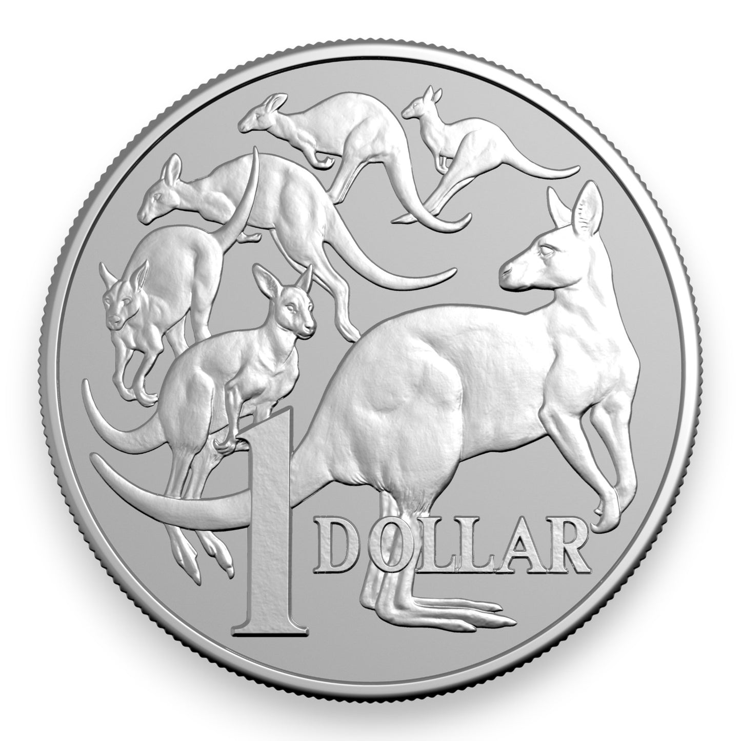 2026 $1 1oz Silver Frosted Uncirculated Coin – Kangaroo Series: Mob of Six