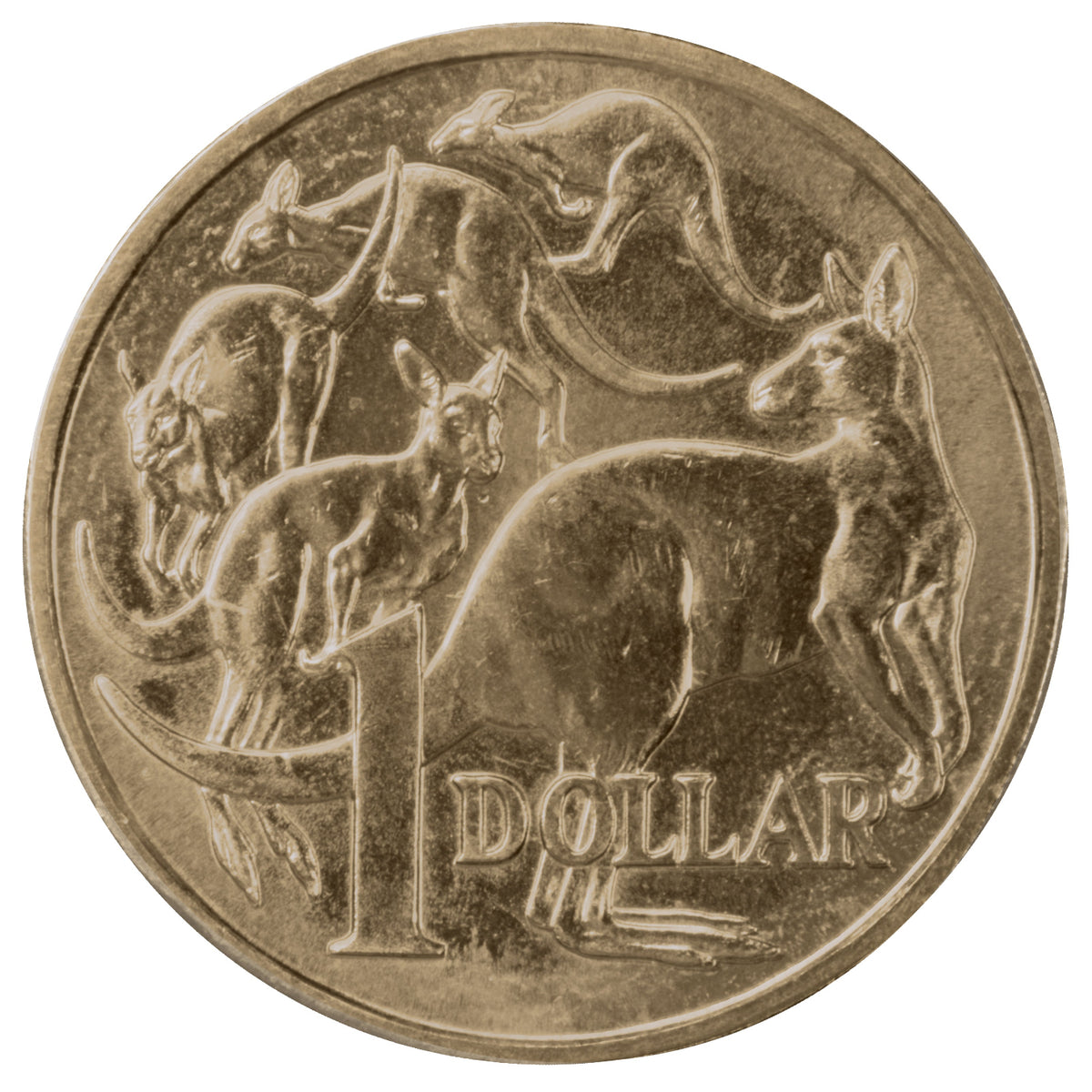 2014 $1 Coin - 'Mob of Roos' - Uncirculated – Loose Change Coins