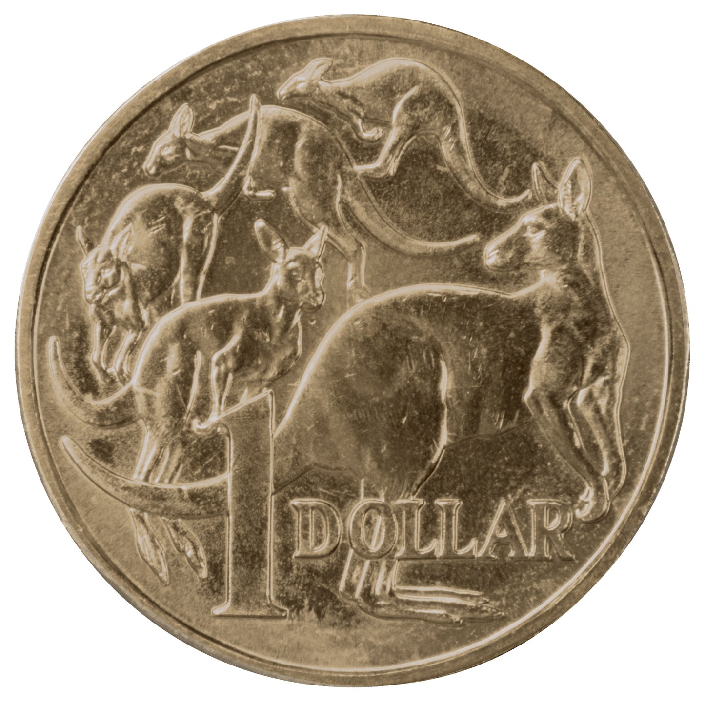 2014 $1 Coin - 'Mob of Roos' - Uncirculated