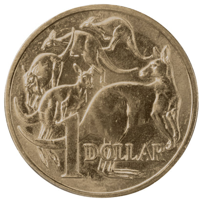 2014 $1 Coin - 'Mob of Roos' - Uncirculated