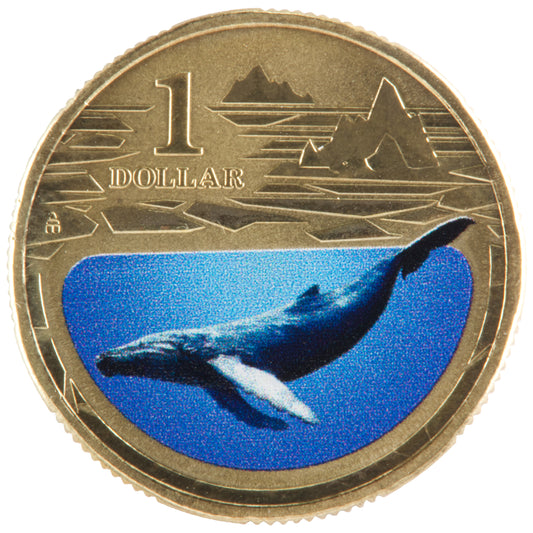 2013 $1 Coin - Humpback Whale - Polar Animals Series