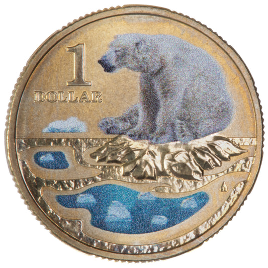 2013 $1 Coin - Polar Bear - Polar Animals Series