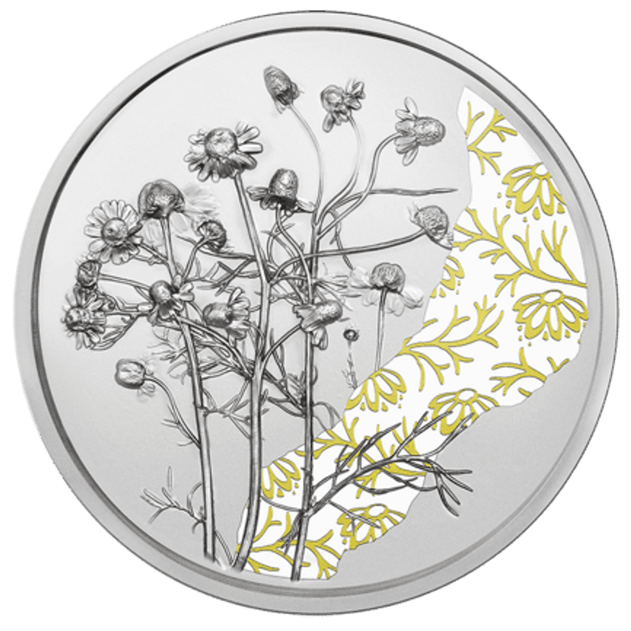 2023 1/2oz Austria The Language of Flowers Series - The Chamomile - 10 Euro Silver Proof Coin - Loose Change Coins