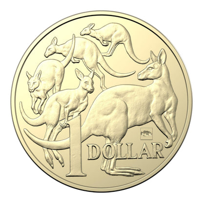 2022 ANDA Sydney Money Expo - Eastern Blue Groper Privy Mark $1 Coin