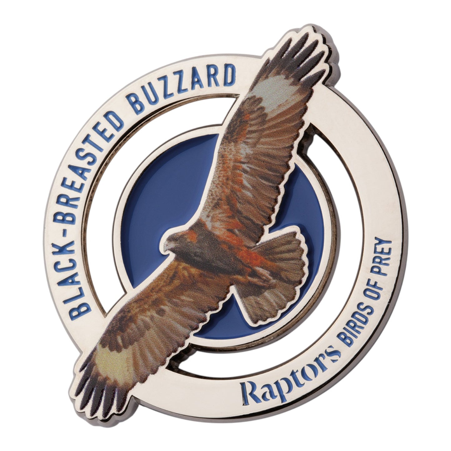 2025 PMC - Raptors - Birds of Prey - Black Breasted Buzzard