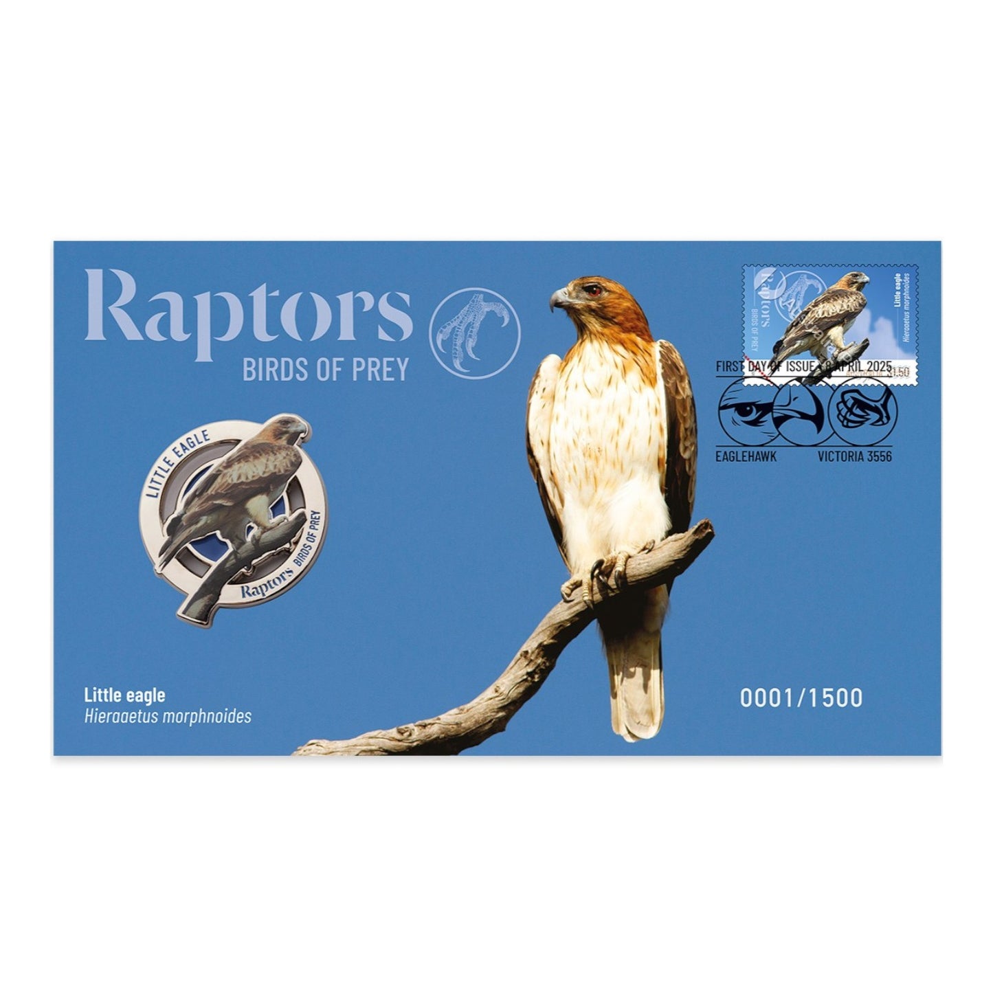2025 PMC - Raptors - Birds of Prey - Little Eagle