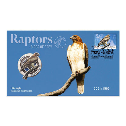 2025 PMC - Raptors - Birds of Prey - Little Eagle