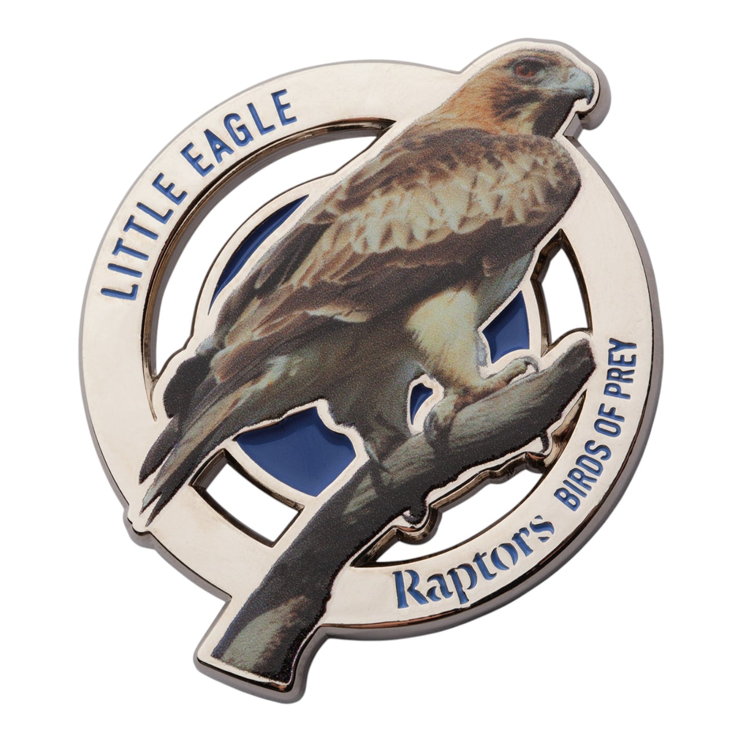 2025 PMC - Raptors - Birds of Prey - Little Eagle