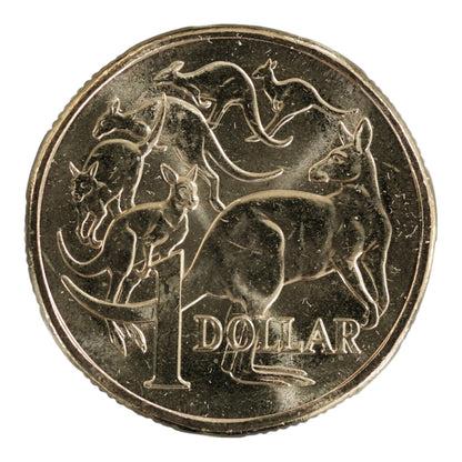 2026 $1 Coin - "Mob of Six Roos" Uncirculated from RAM Roll