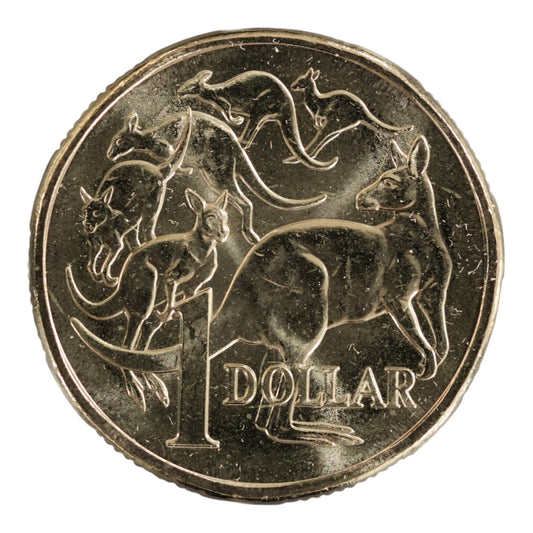 2026 $1 Coin - "Mob of Six Roos" Uncirculated from RAM Roll
