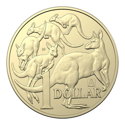 2019 Australian $1 Coin - A, U, S Dollar Discovery - Uncirculated