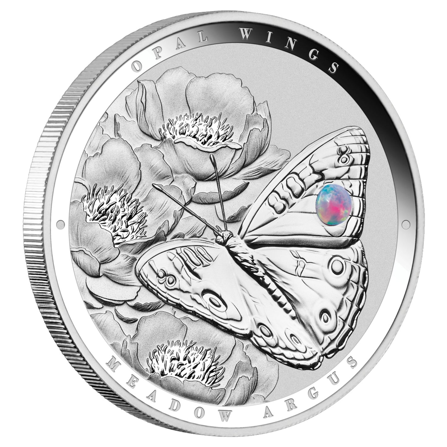 2026 Australian Opal Wings - Meadow Argus 1oz Silver Proof Coin with Opal Insert