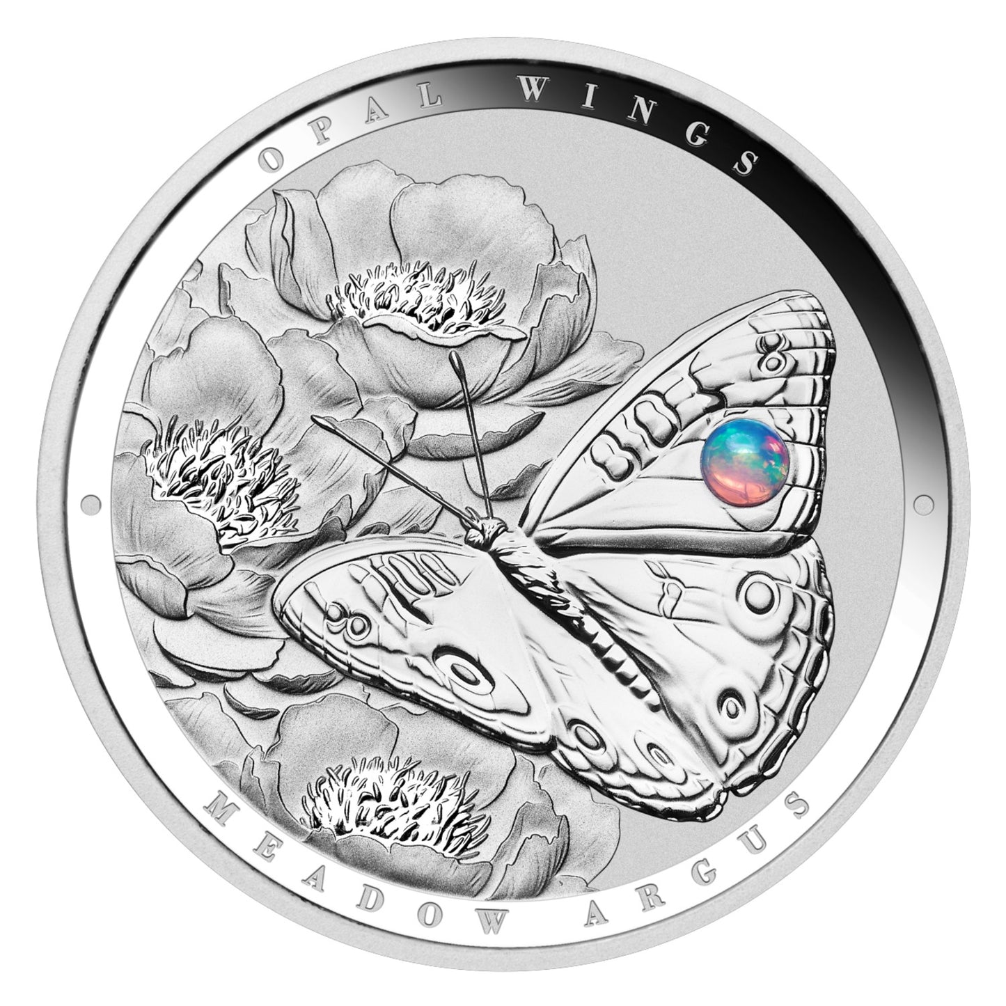 2026 Australian Opal Wings - Meadow Argus 1oz Silver Proof Coin with Opal Insert