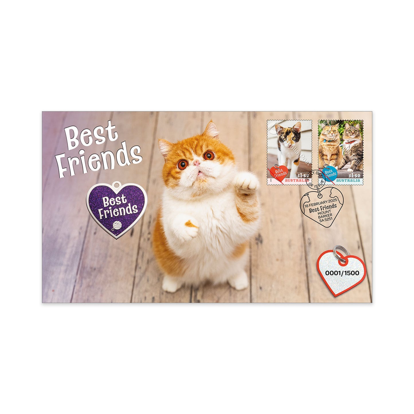 2025 PMC - Best Friends - Cat Medallion Cover