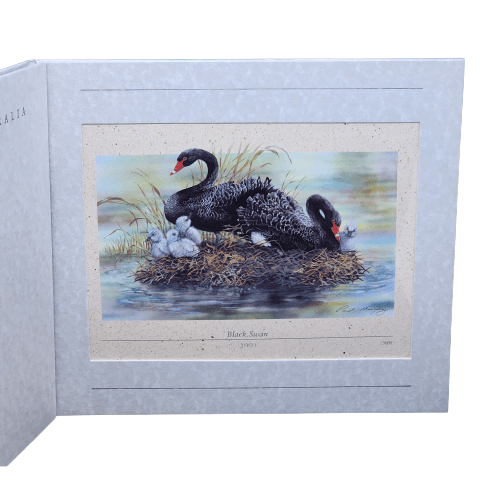 1991 Australia Post - Waterbirds of Australia FDC & Print Limited Edition Folio #3,991 of 5,000 - Loose Change Coins